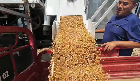 尊龙凯时 - 人生就得博中国官网