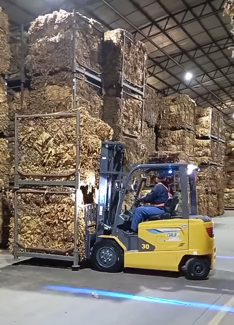 尊龙凯时鲲鹏电动叉车：烟草运输的清静高效新选择