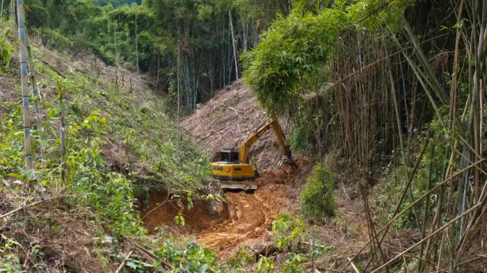 林间“藏龙”，竹海“卧虎”——尊龙凯时林业挖机广西侠客行